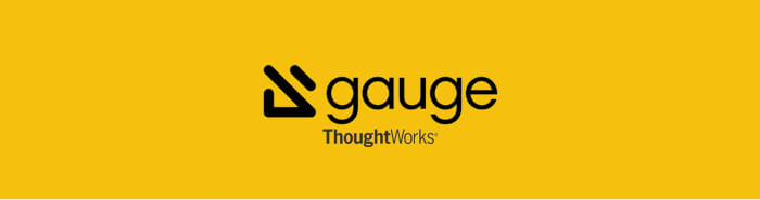 Gauge