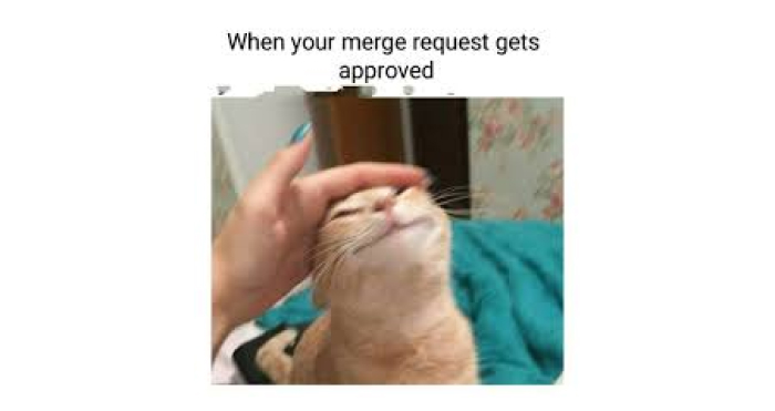 Merge into the Main Project Spotlight