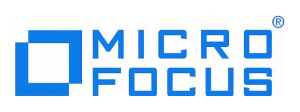 Micro Focus Silk Central