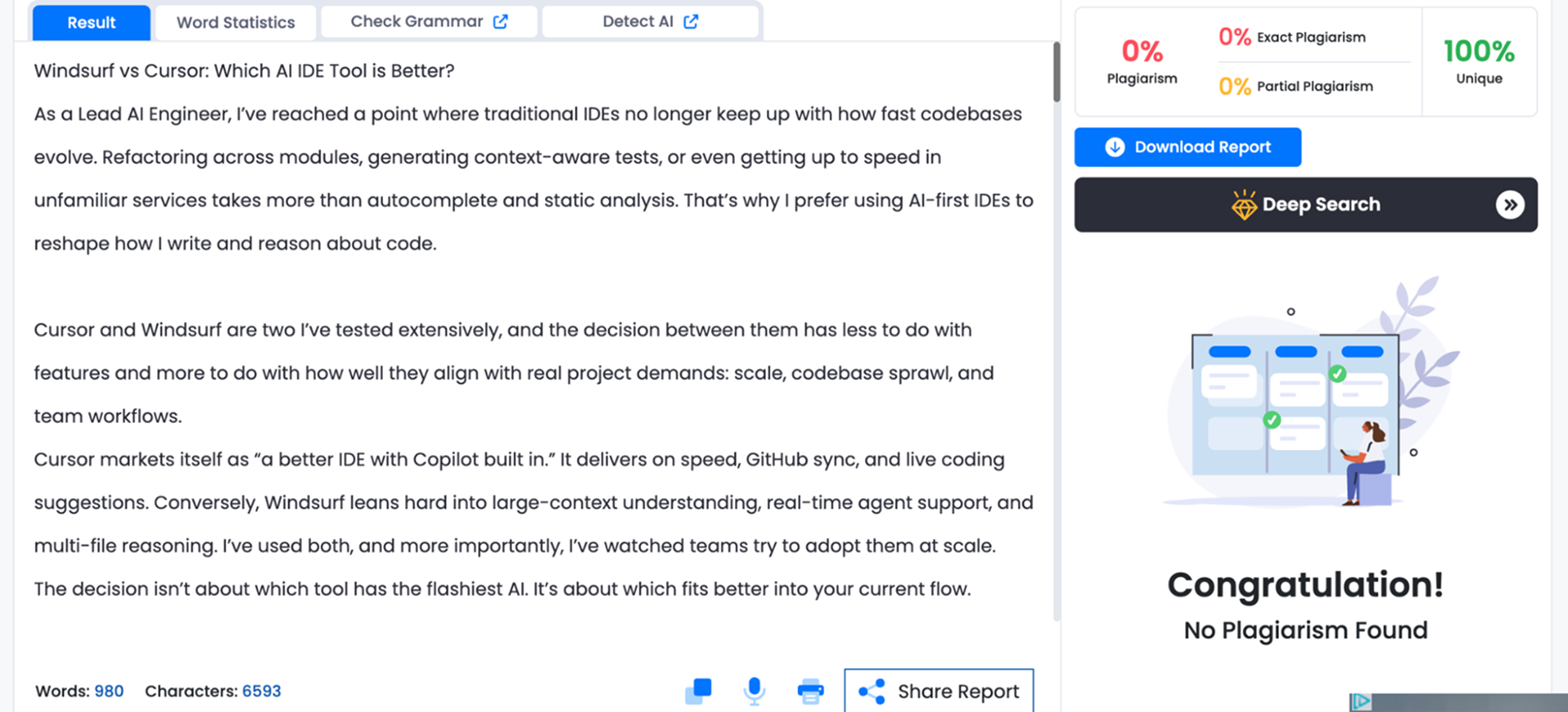 Plagiarism Screenshot