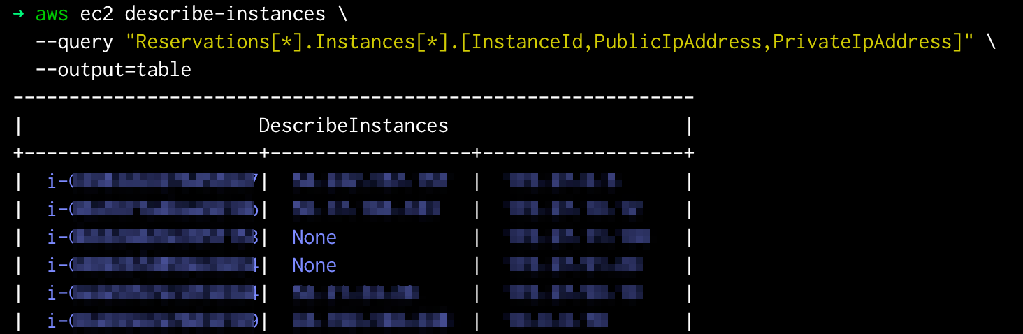 Terminal output of AWS CLI command 'aws ec2 describe-instances' displaying a table of EC2 instance IDs with public and private IP addresses.