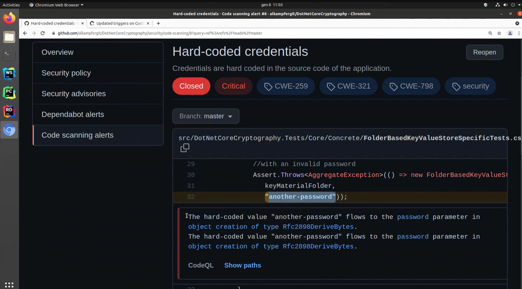  alert framed with CWE